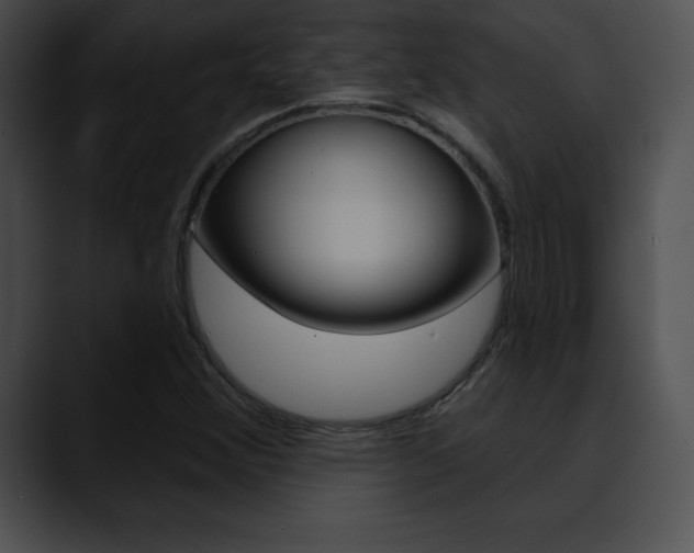 X0000090631356200707171127