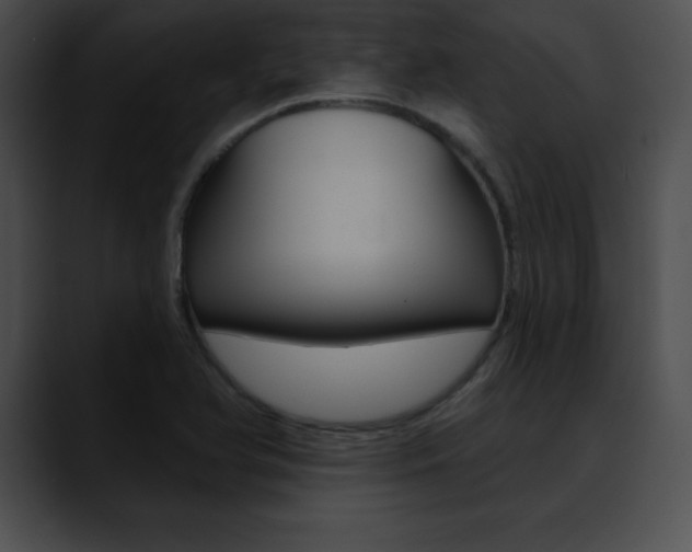 X0000090631366200707171127