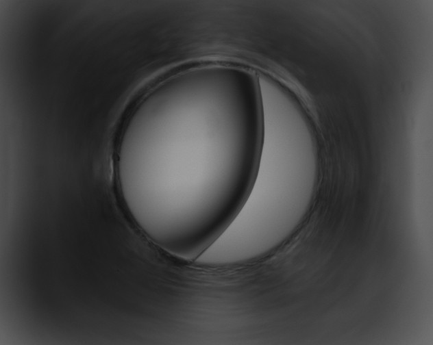 X0000090631368200707171127