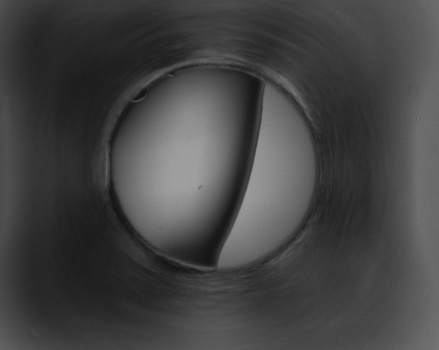 X0000090631371200707171127