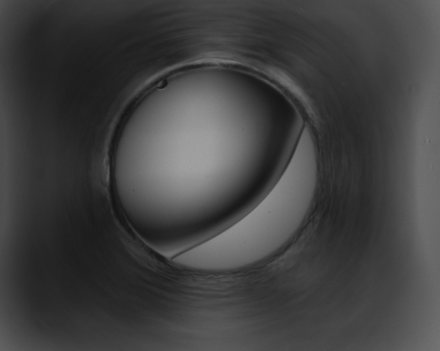 X0000090631372200707171127