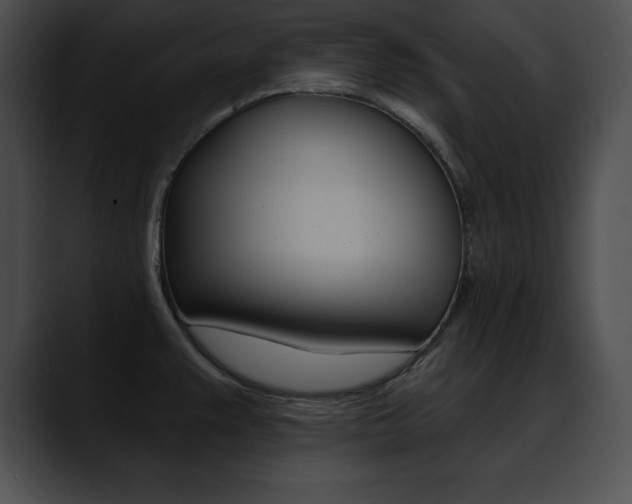 X0000090631383200707171127