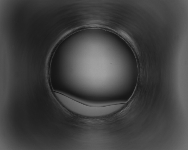 X0000090631384200707171127