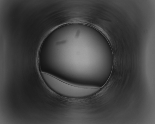 X0000090631387200707171127