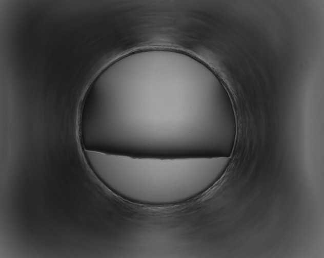 X0000090631390200707171127