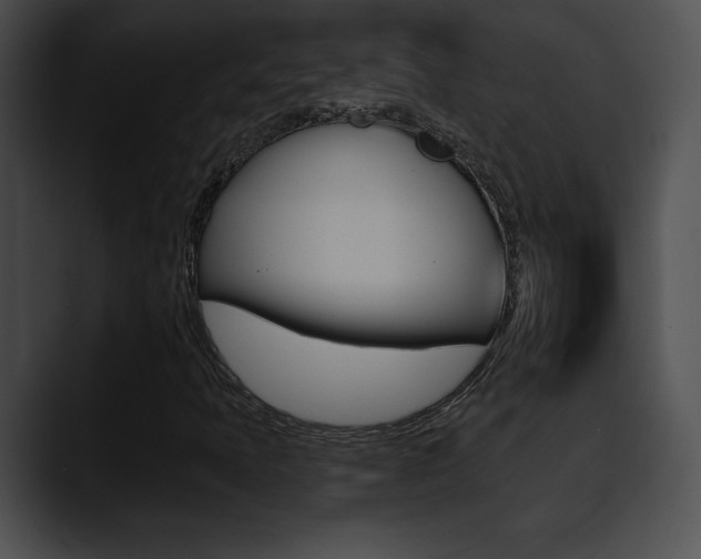 X0000090631397200707171126
