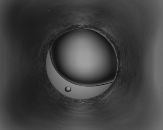 X0000090631398200707171126