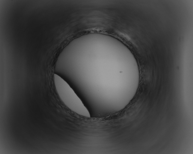 X0000090631399200707171126