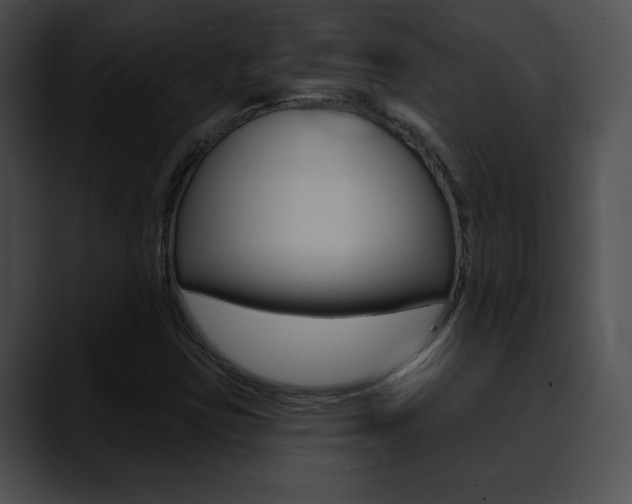 X0000090631403200707171126