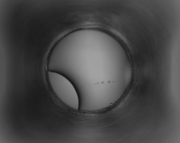 X0000090631413200707171127
