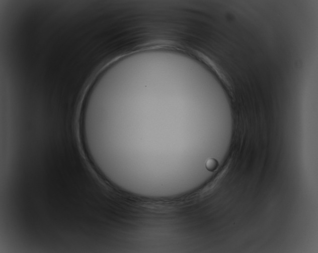 X0000090631418200707171127