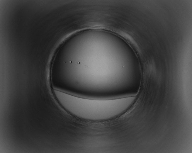X0000090631424200707171127