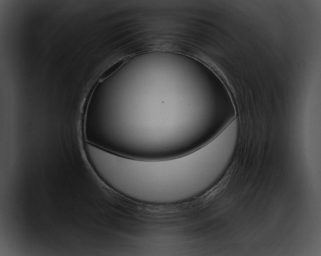 X0000090631434200707171127