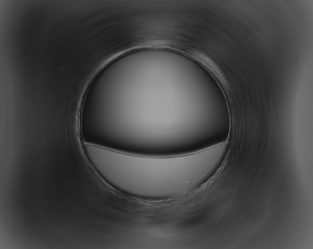 X0000090631436200707171127