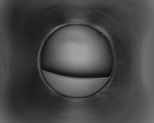 X0000090631440200707171127