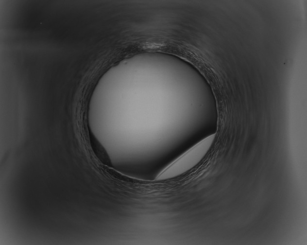 X0000090631441200707171126