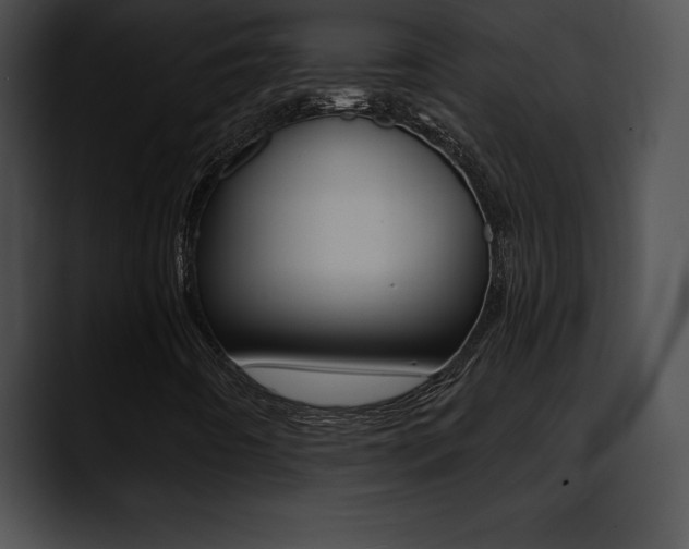 X0000090631442200707171126