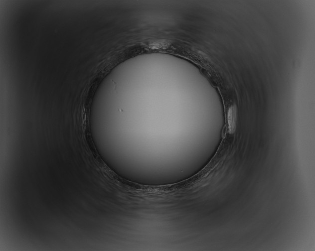 X0000090631443200707171126