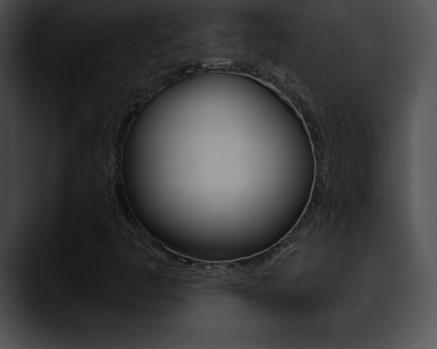 X0000090631445200707171126