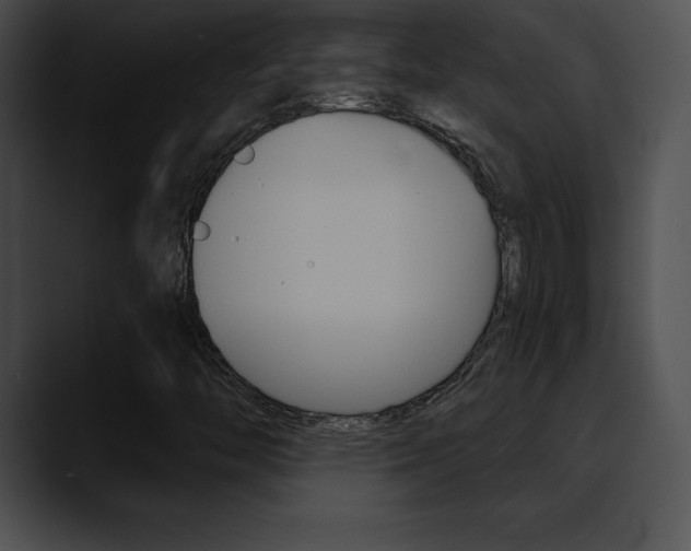 X0000090631446200707171126