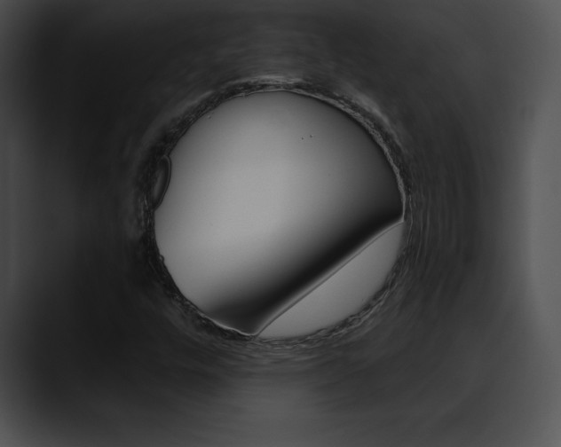 X0000090631448200707171126