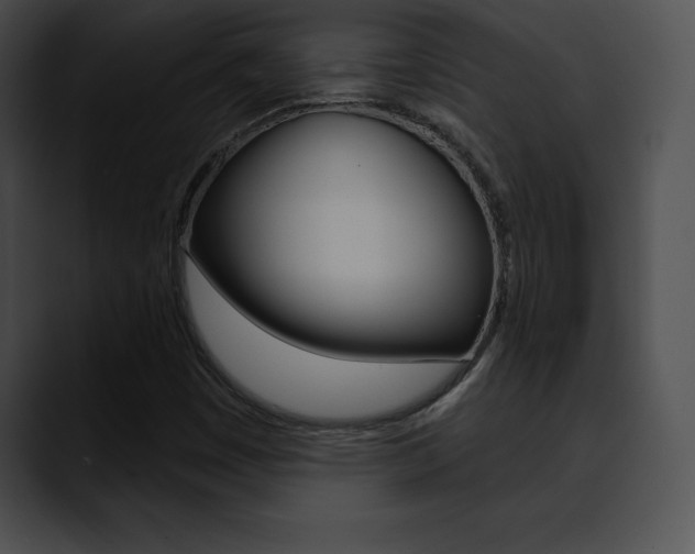 X0000090631449200707171126