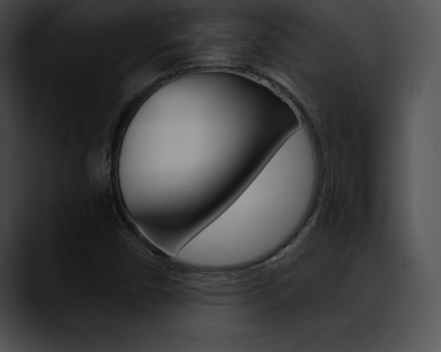 X0000090631450200707171126