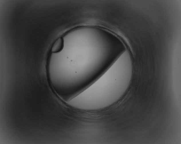 X0000090631464200707171126