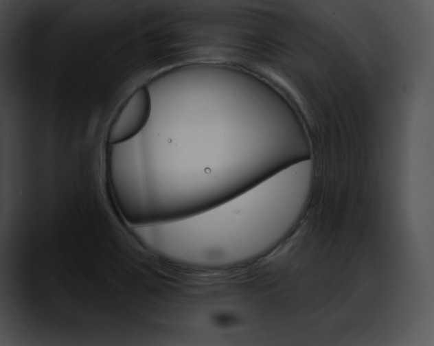 X0000090631467200707171126