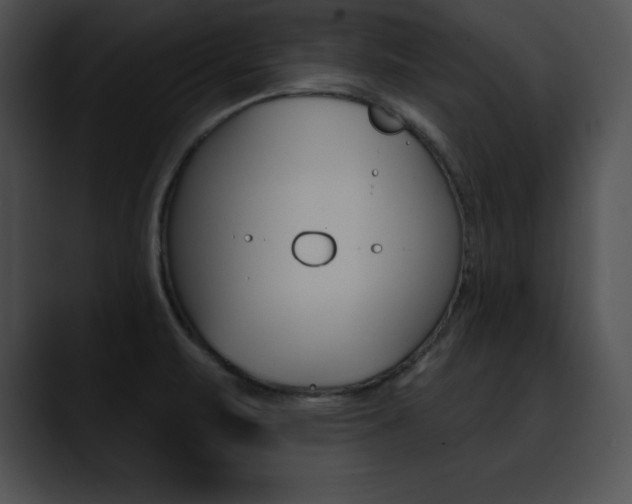 X0000090631471200707171126