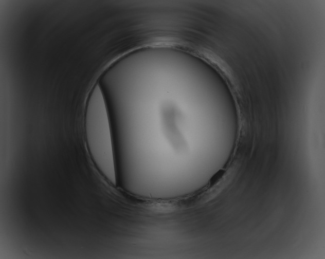 X0000090631473200707171126