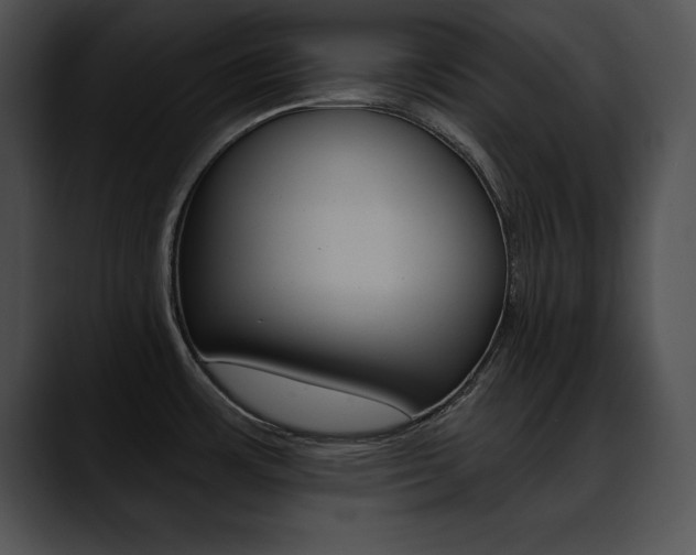 X0000090631483200707171126