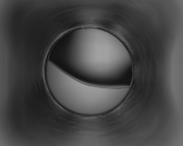X0000090631484200707171126