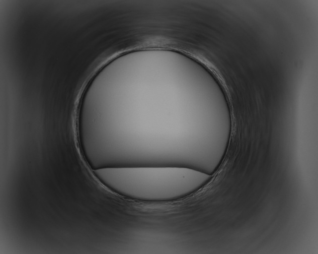X0000090631486200707171126