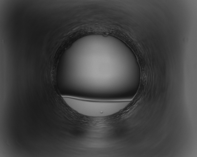 X0000090631490200707171125