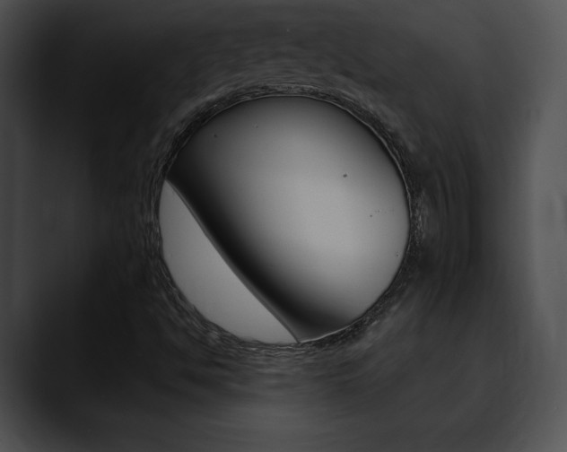 X0000090631494200707171125