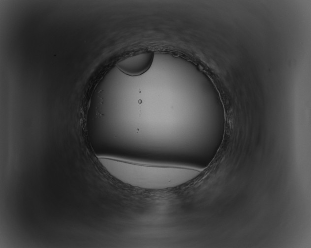 X0000090631495200707171125