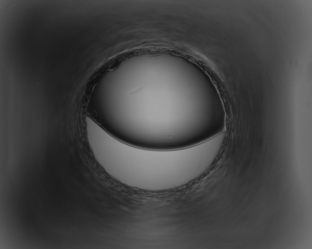 X0000090631496200707171125