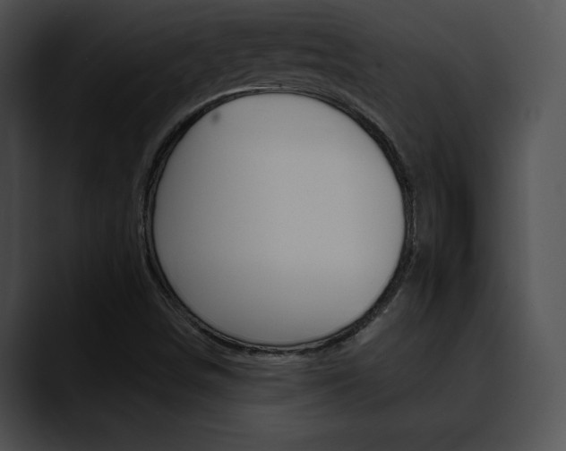 X0000090631498200707171125