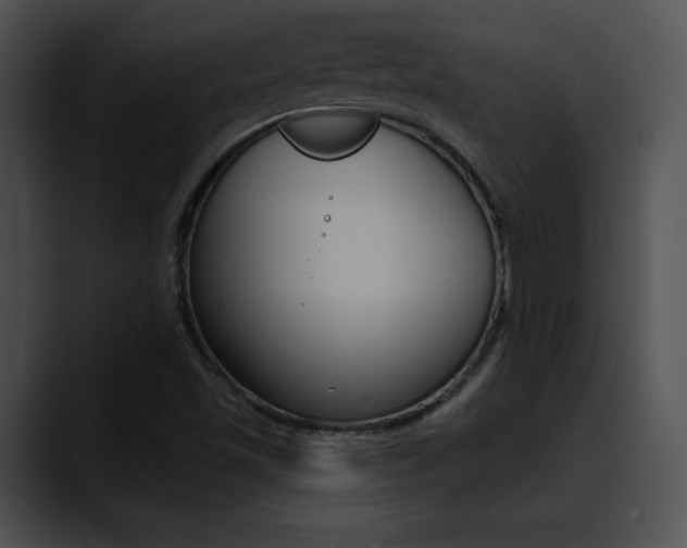 X0000090631501200707171125