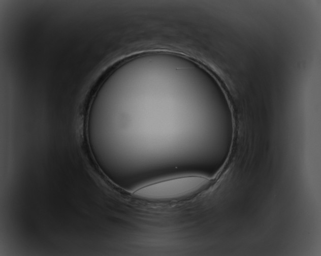 X0000090631503200707171125