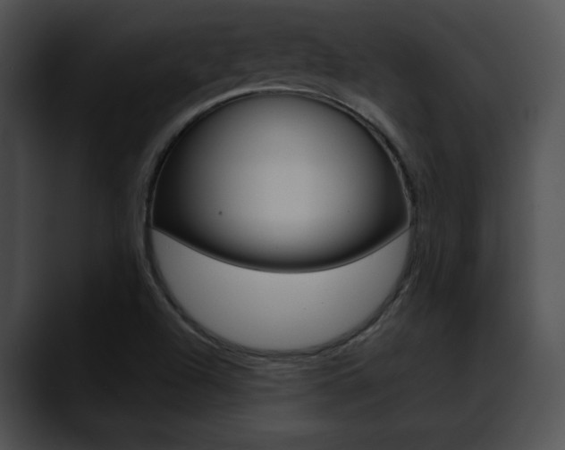 X0000090631504200707171125