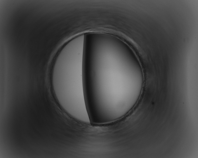 X0000090631506200707171125