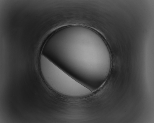 X0000090631507200707171125