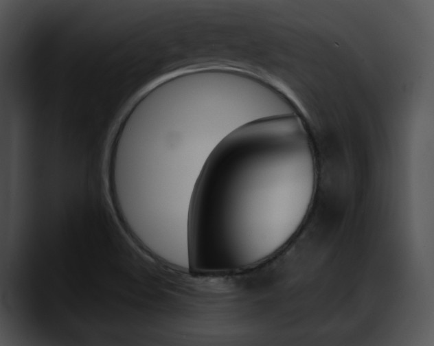 X0000090631508200707171125