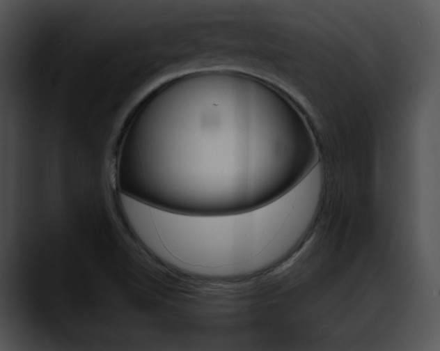X0000090631510200707171125
