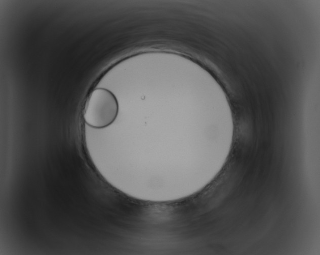 X0000090631514200707171125