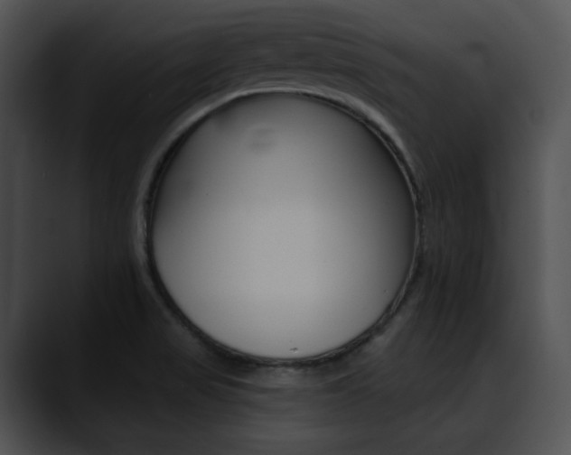 X0000090631517200707171125