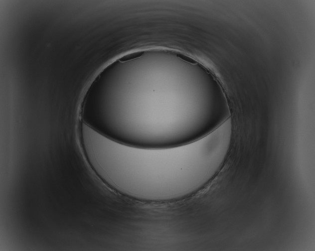 X0000090631524200707171125