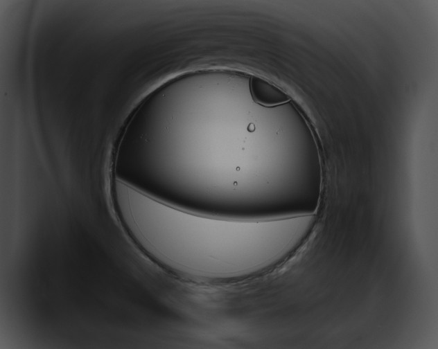 X0000090631525200707171125